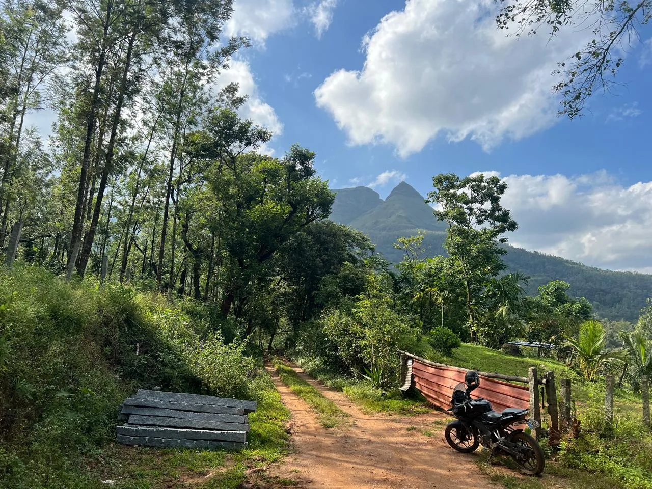 2 Acres 10 Guntas coffee estate for sale near Chikkamagaluru