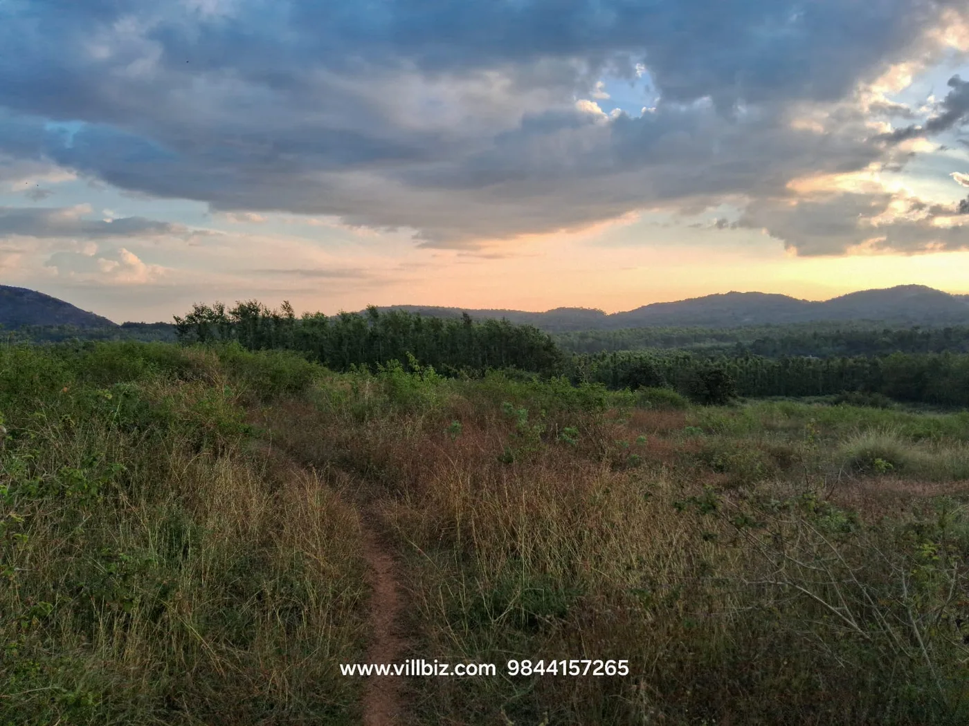 6 Acres Scenic Agricultural Land for Sale in Sakleshpur – Ideal for Farmhouse, Resort & Farm Plots