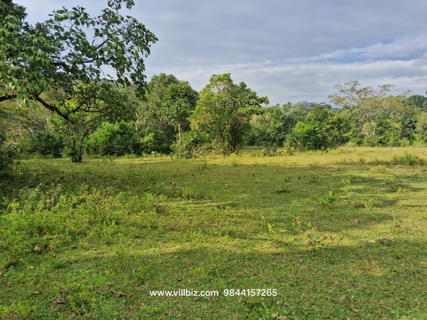 3.5 Acres Scenic Land for Sale Near Sakleshpur – Ideal for Farmhouse, Resort & Plantation