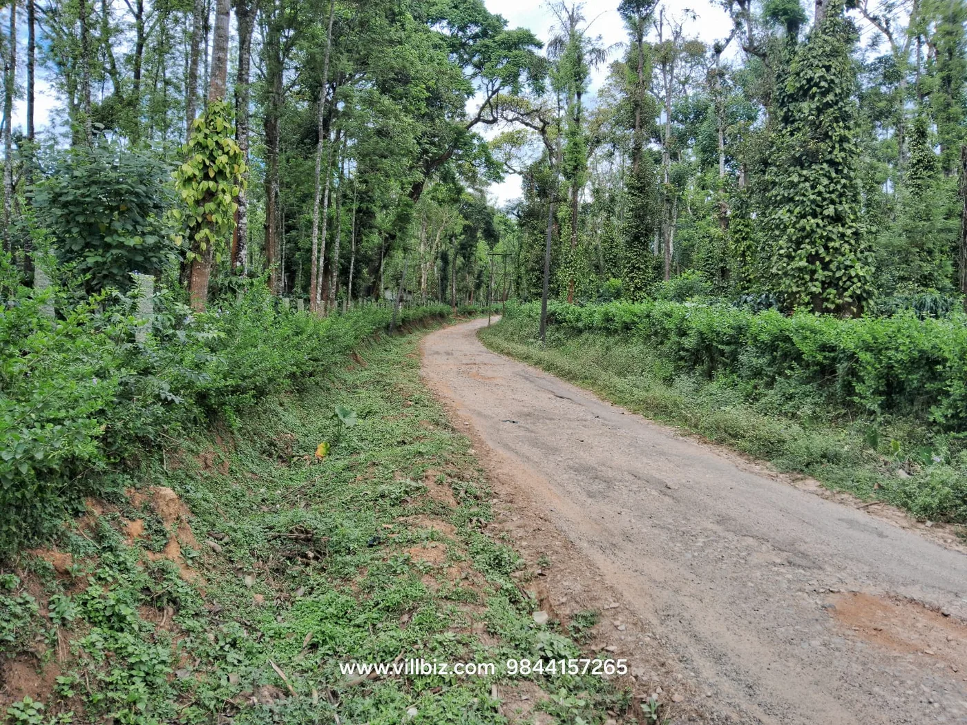 40 Acres Premium Coffee Estate For Sale In Sakleshpur (Belur Road)  800M Road Frontage  Pond & Flowing Water