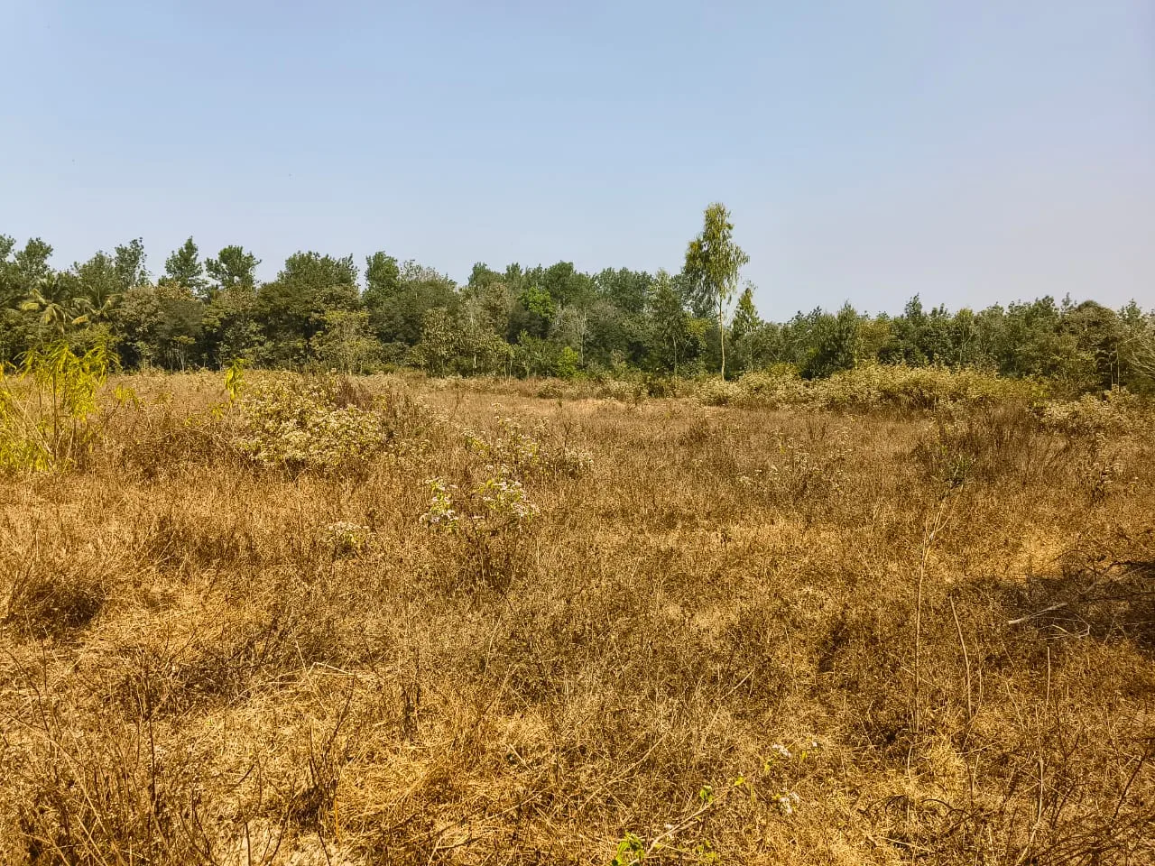 3 Acres Fenced Backwaters Nearby Agricultural Land For Sale  Alur To Bikkodu (Near State Highway)