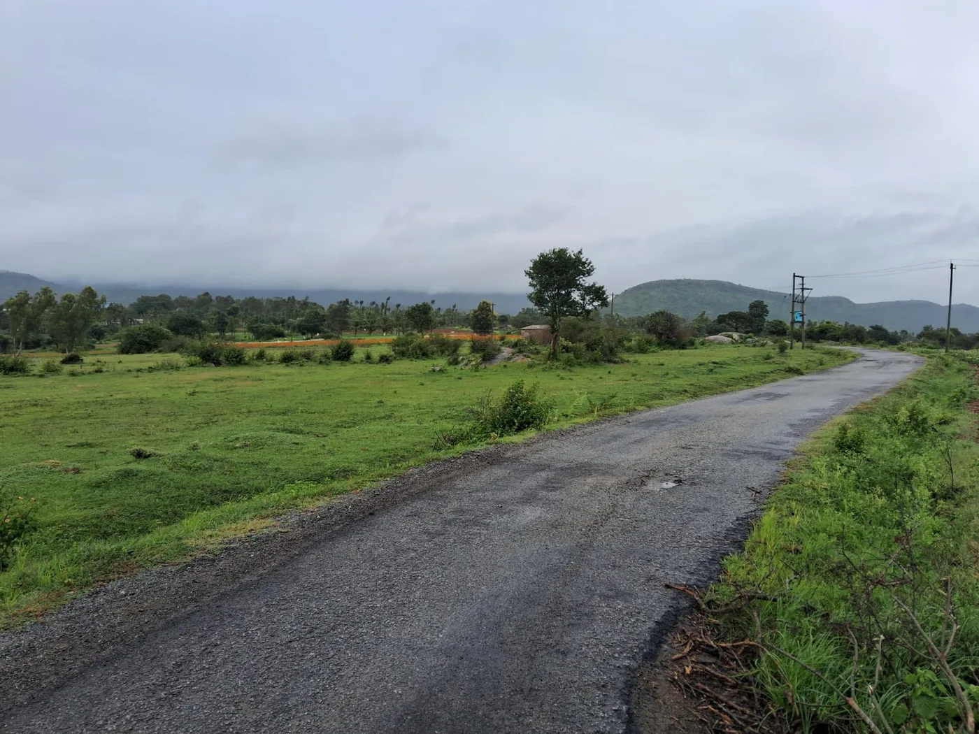 6 Acres Scenic Agricultural Land For Sale In Chikkamagalur  Between Belur & Chikkamagalur
