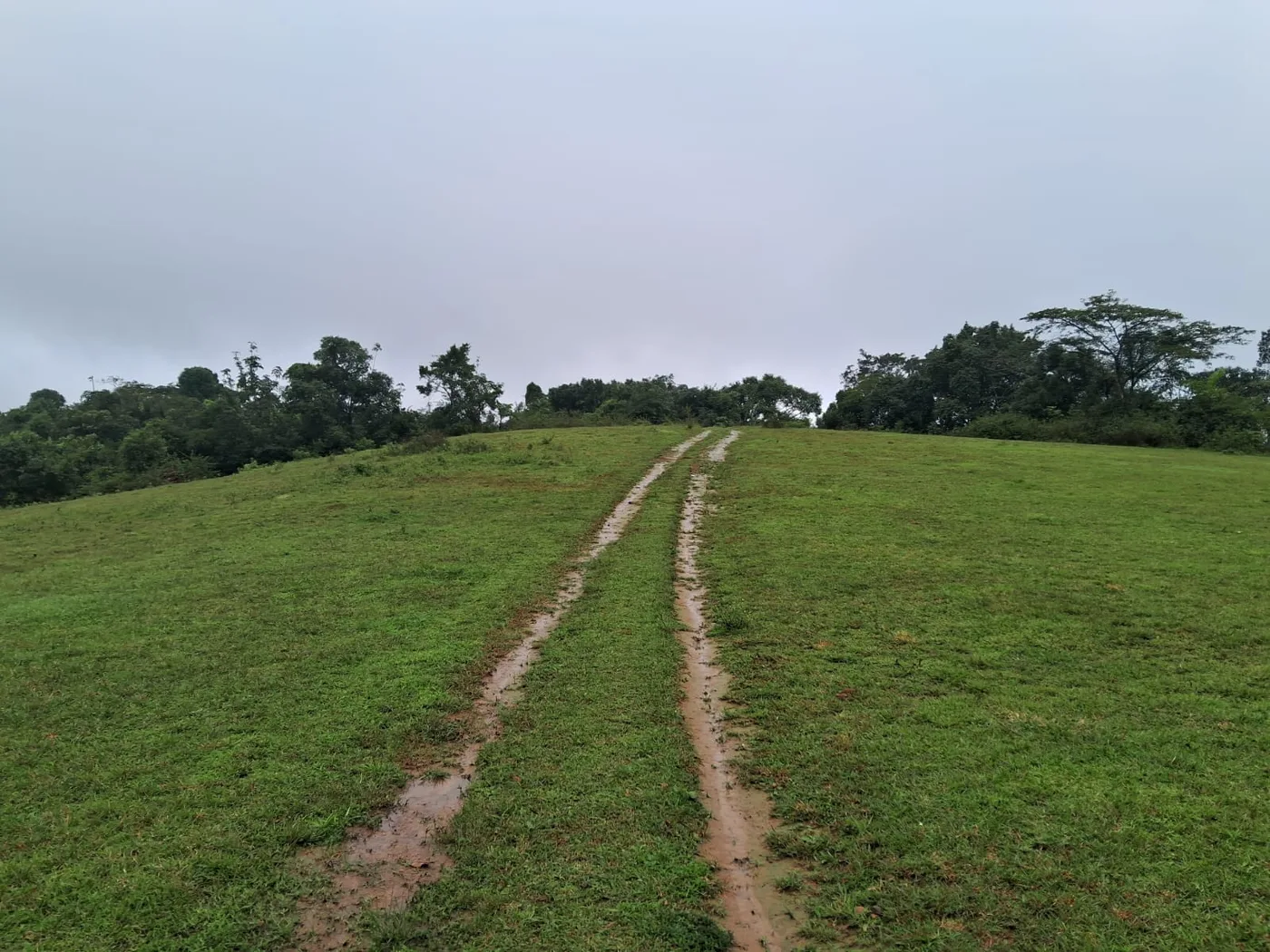 16 Acres Misty Stream Touch Scenic Land For Sale In Sakleshpur  Near Hetthur