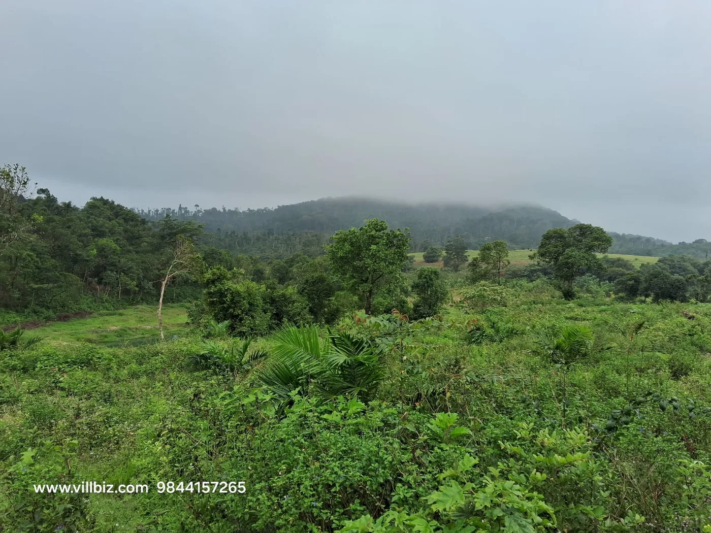 6 Acres Scenic Hill View Land For Sale In Sakleshpur (Mudigere Road)