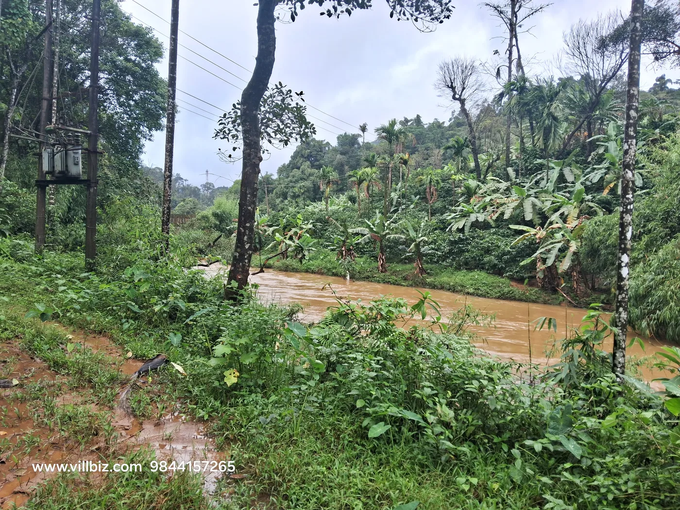 Stream Side 15 Acres Coffee Estate For Sale In Sakleshpur  Farmhouse & Homestay Suitable
