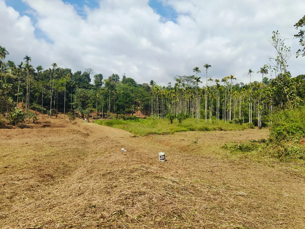 15 Acres Stream-Touch Scenic Agricultural Land For Sale Near Virajpet, Coorg
