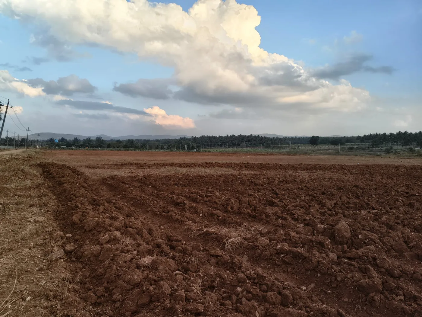 12 Acres National Highway Touch Land For Sale Near Belur  Corner Property  Near Halebeedu