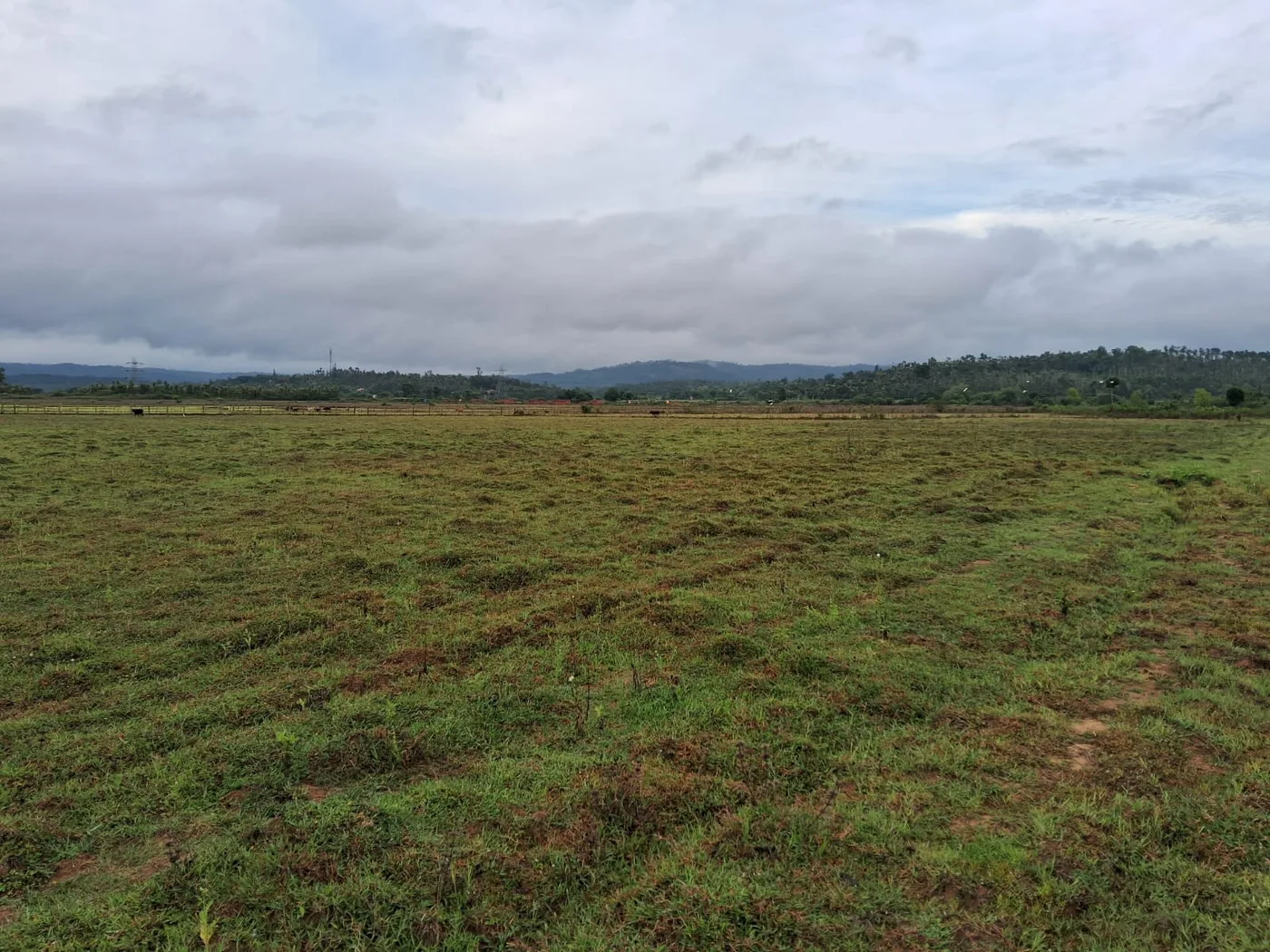 40 Acres Hemavathi River Touch Agricultural Land For Sale In Mudigere (Near Nh)  Fenced Property  2 Streams
