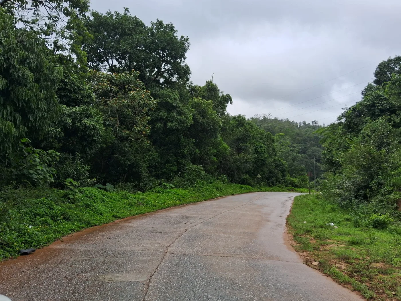 3 Acres Scenic Stream-Facing Land For Sale In Sakleshpur (Hanbalu Road)  Concrete Road Access  Ideal For Resort / Homestay / Villa