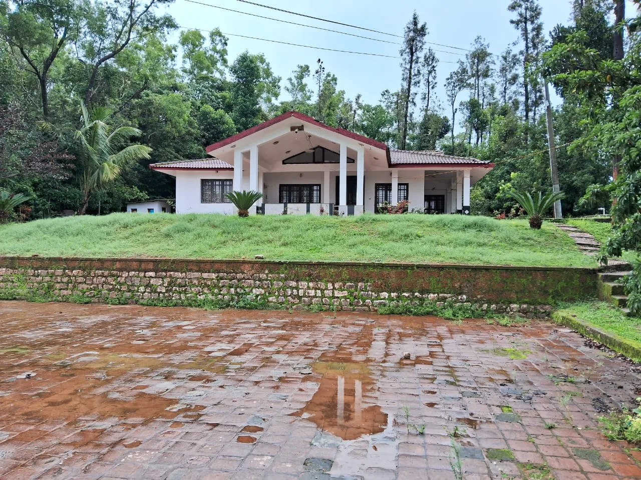 Thirty Two Acres Well Maintained Coffee Estate For Sale In Sakleshpur With Arabica Robusta Pepper Bungalow And Stream