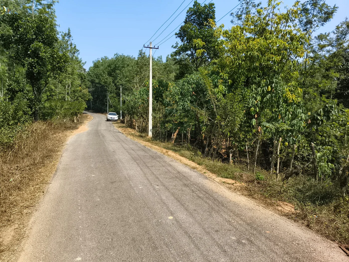 1 Acre 26 Guntas Stream-Attached Coffee Plantation For Sale In Belur Taluk