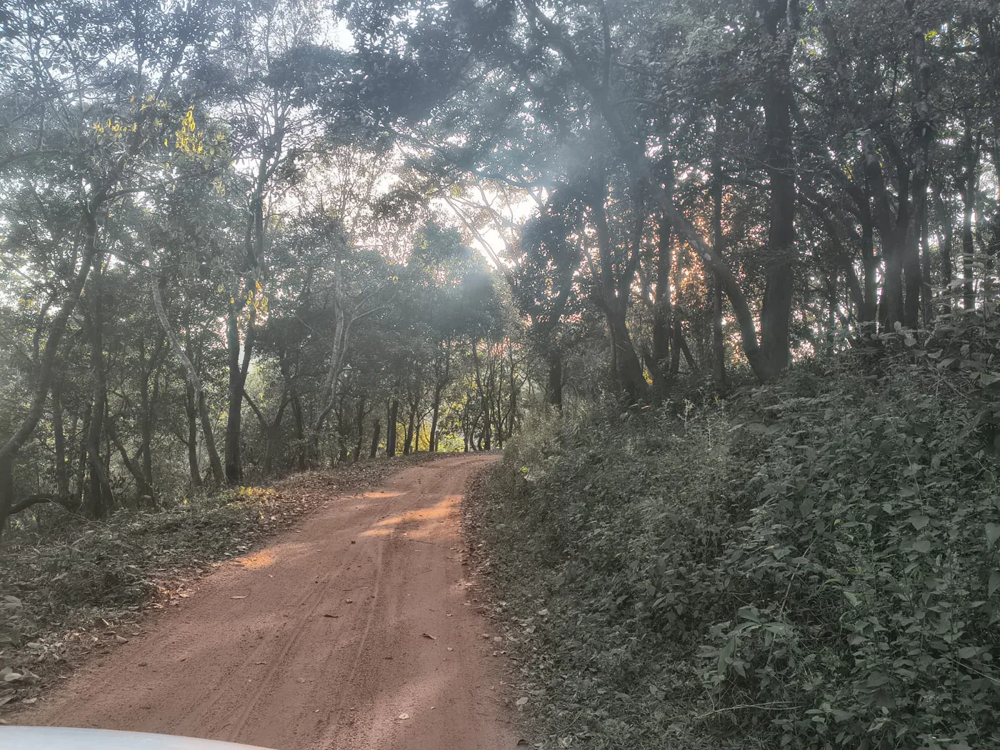 25 Acres Scenic Agricultural Land For Sale In Sakleshpur  Hills View, Stream & Strong Future Value