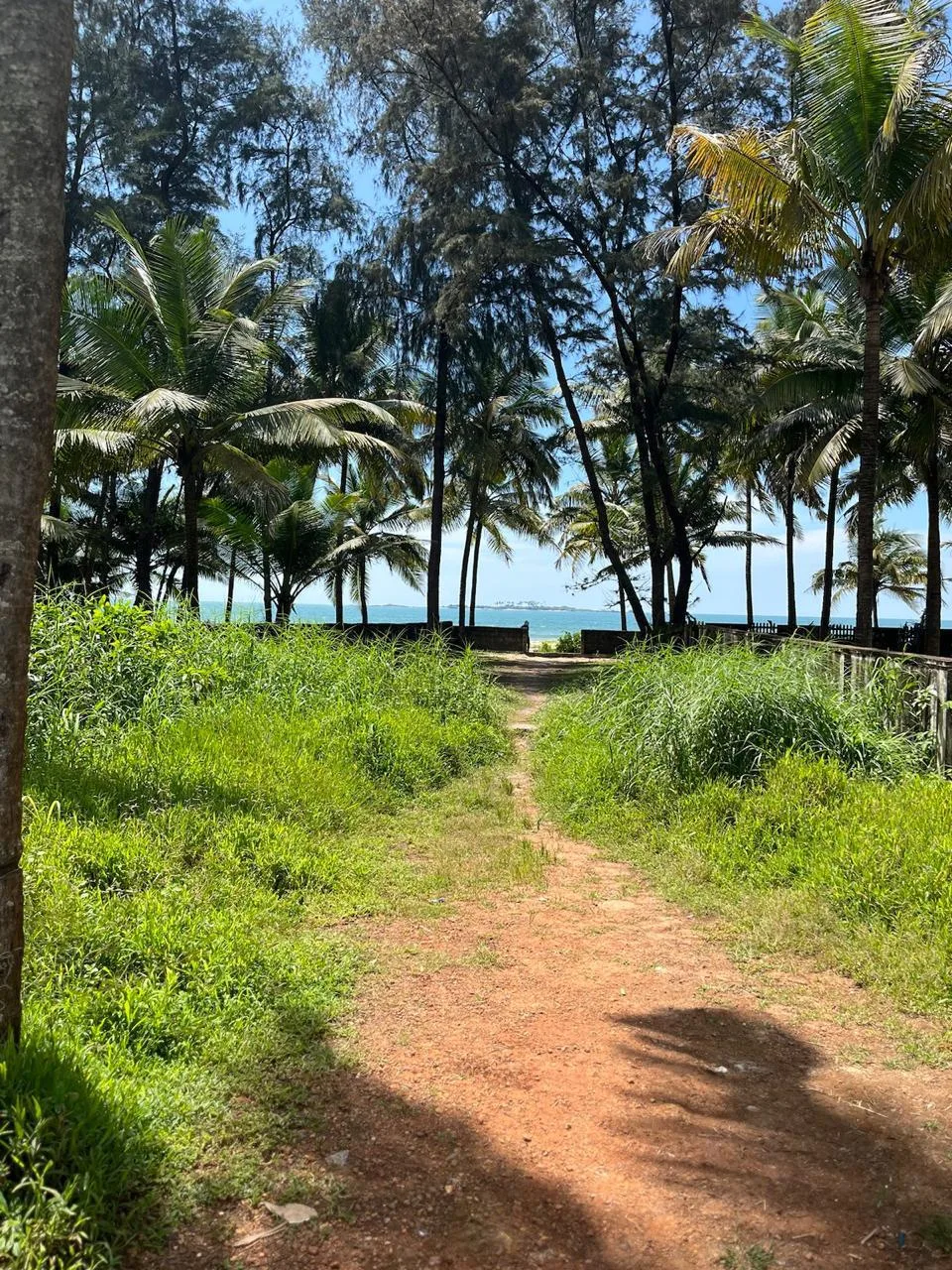 Private Beachfront Land For Sale In Badanidiyuru Udupi With Exclusive Beach Access