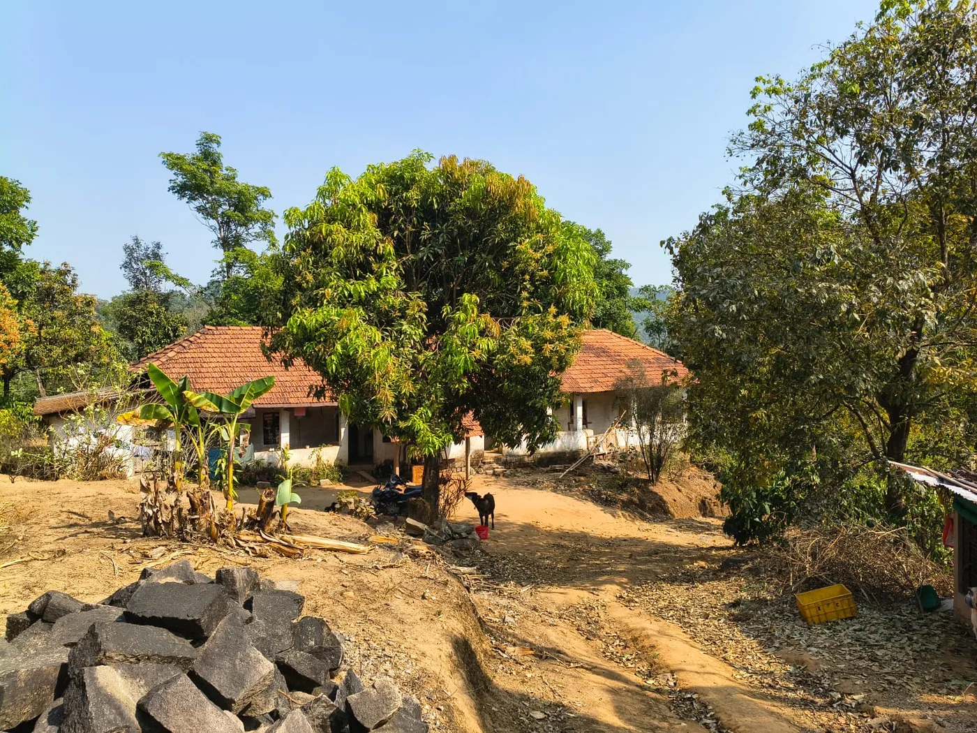 Scenic 30 Acres Coffee Estate For Sale In Sakleshpur  Near Express Highway