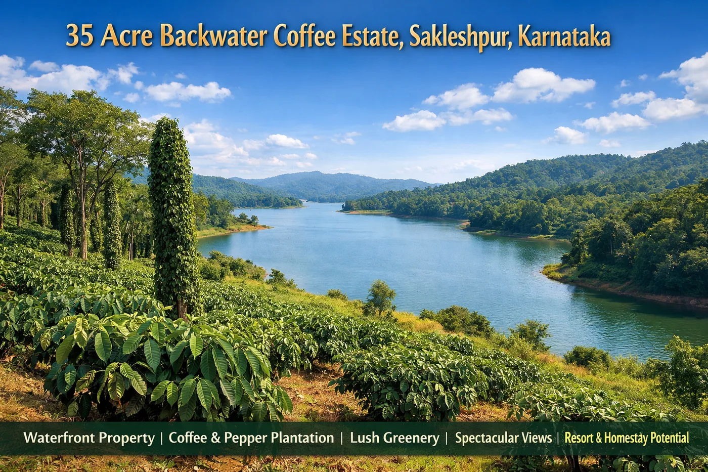 35 Acres Backwater-Attached Coffee Estate For Sale In Sakleshpur