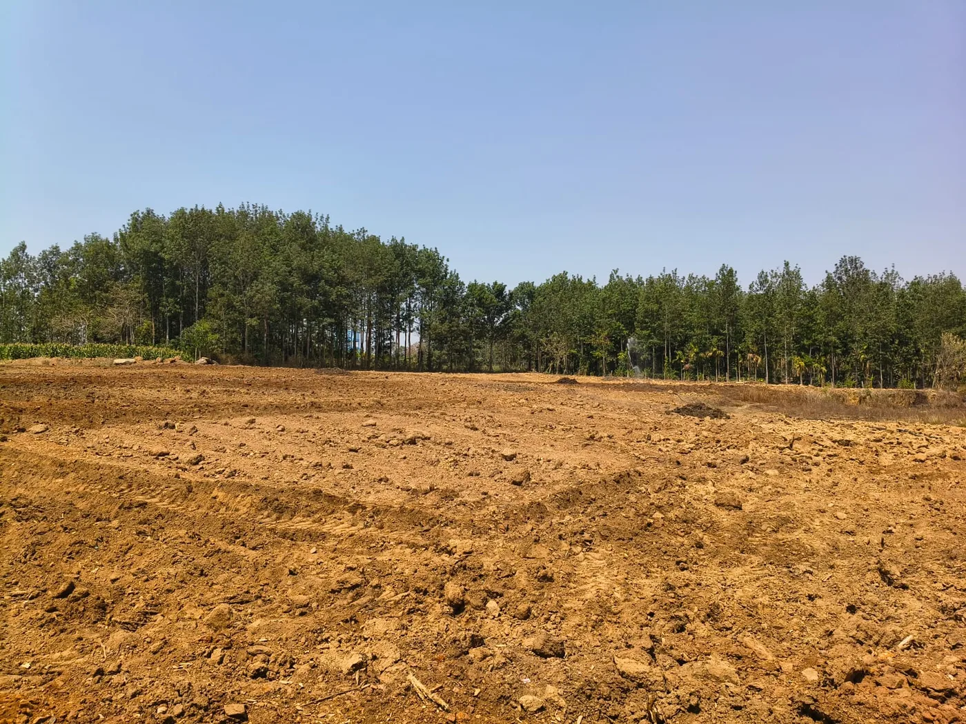 5 Acres Agriculture Land For Sale In Belur, Hassan District  Near State Highway  Ideal For Coffee, Farmhouse & Resort Development