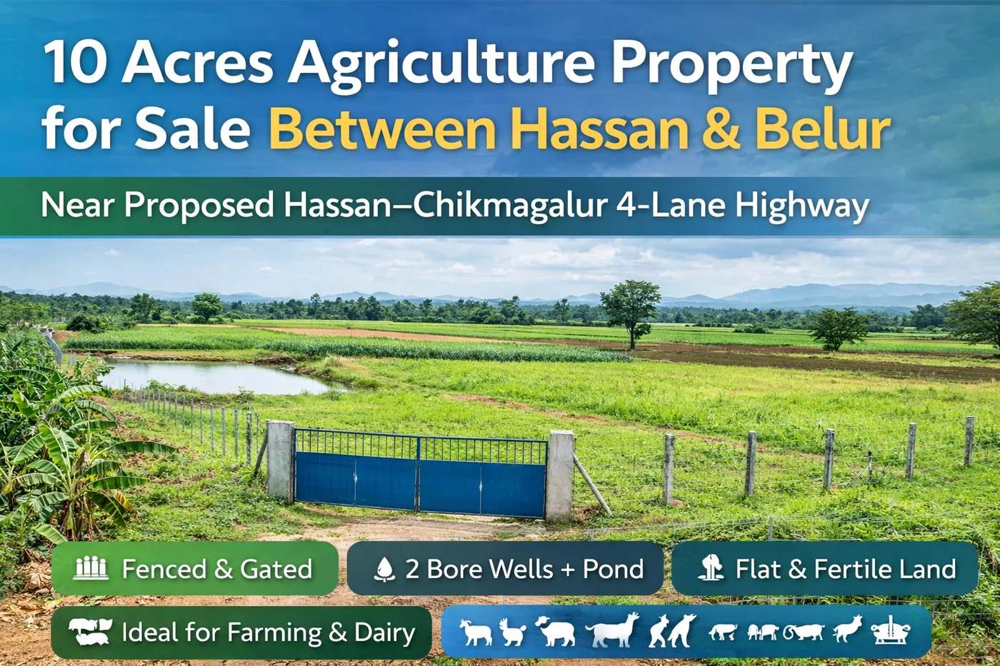 10 Acres Agricultural Land For Sale Between Hassan & Belur  Near Hassanchikmagalur 4-Lane Highway