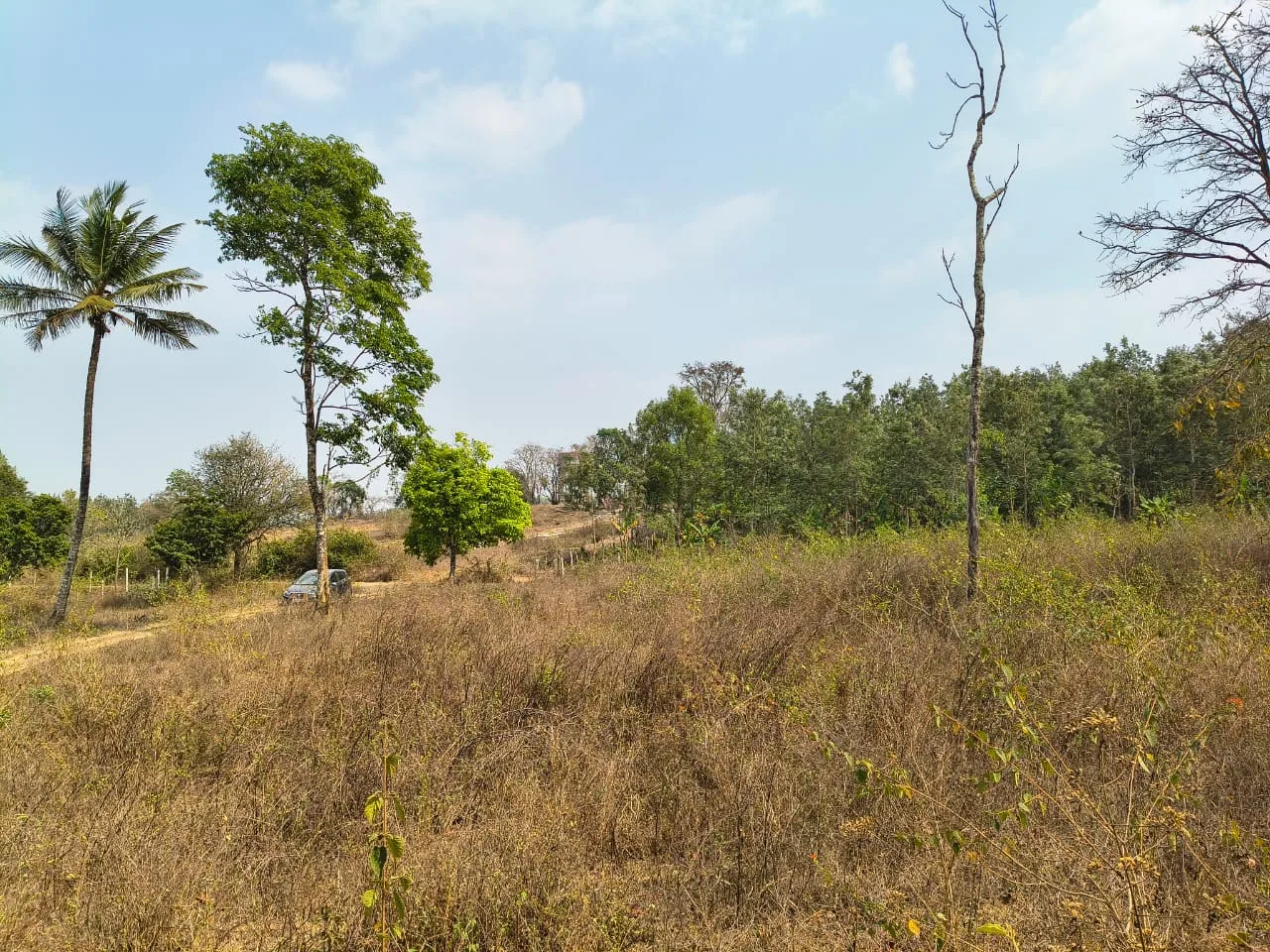 1 Acre Agriculture Land for Sale in Hassan Near Magge | Ideal for Farmhouse & Farming