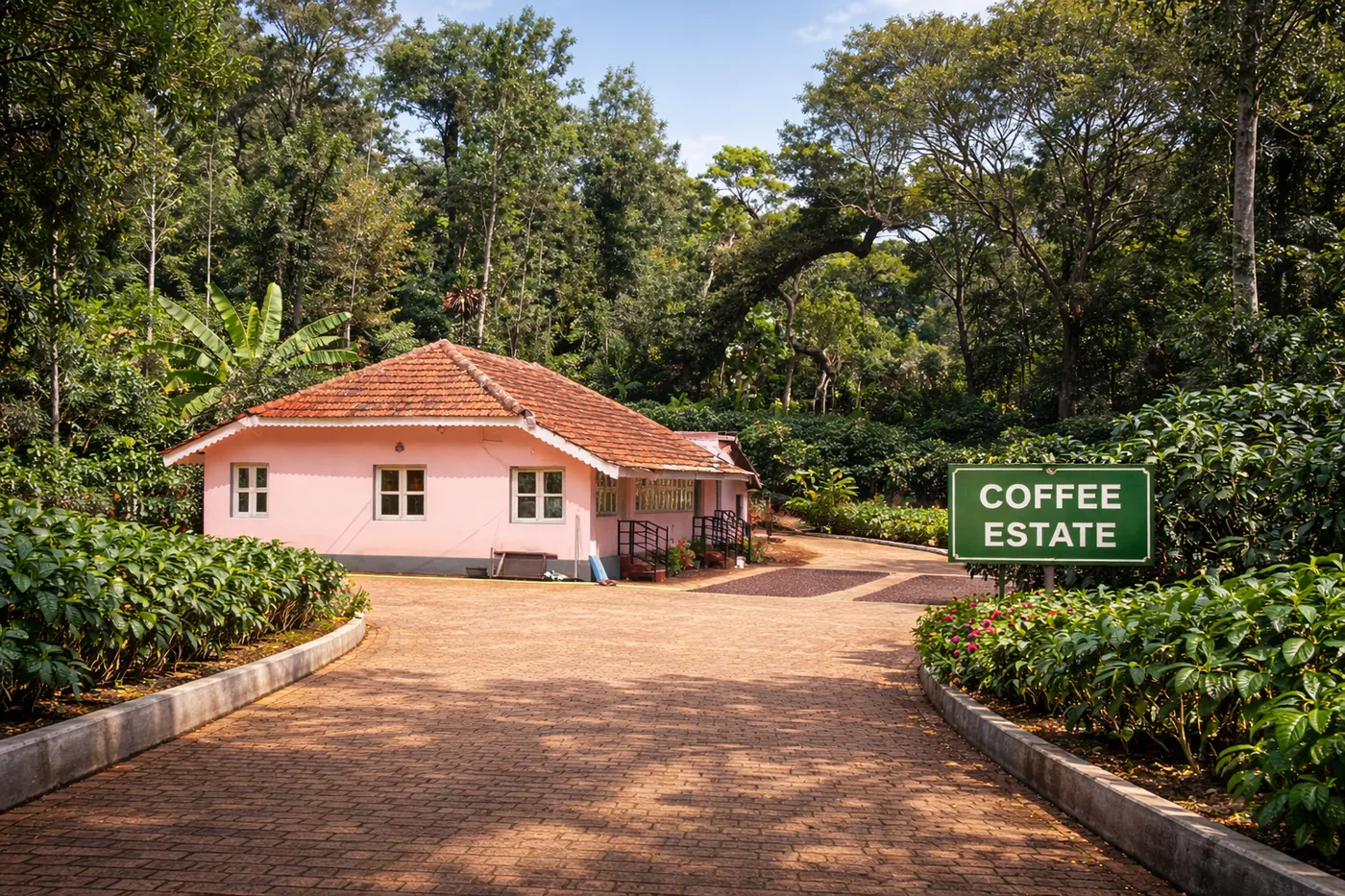 50 Acres Coffee Estate for Sale in Chikmagalur Near Chikkamagaluru Town