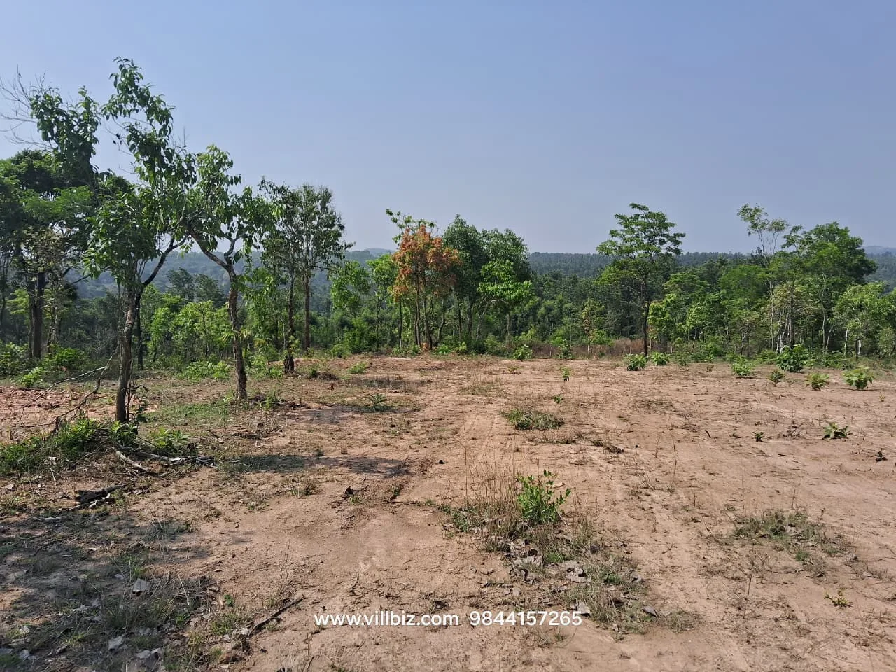3 Acres Scenic Agricultural Land for Sale in Hassan Near Sakleshpur