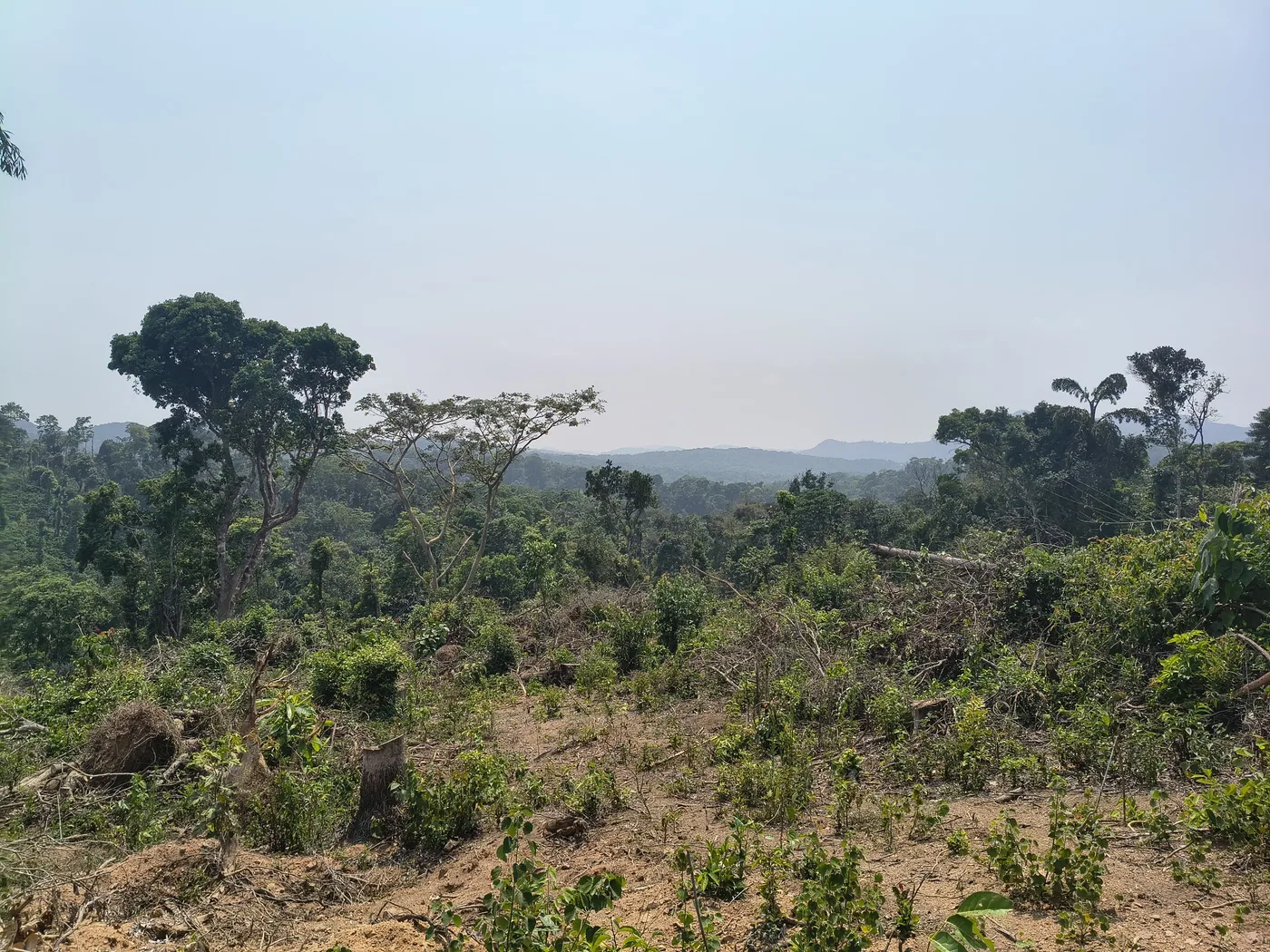 2 Acres Scenic View Land for Sale in Sakleshpur Near Bisle, Mallalli Falls and Patla Betta | Ideal for Homestay, Farmhouse and Coffee Plantation