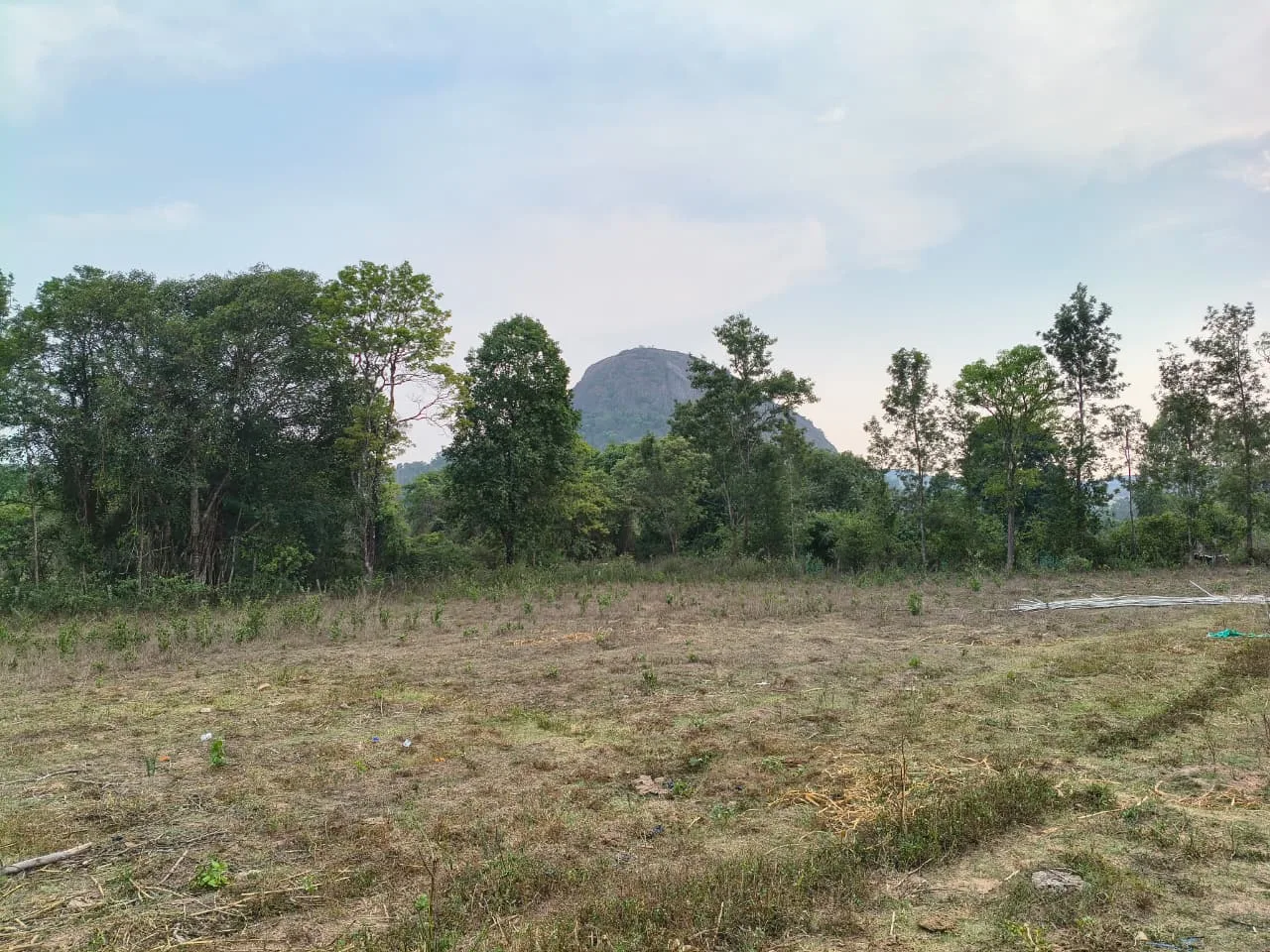 2 Acres Scenic View Agriculture Land for Sale in Alur, Hassan