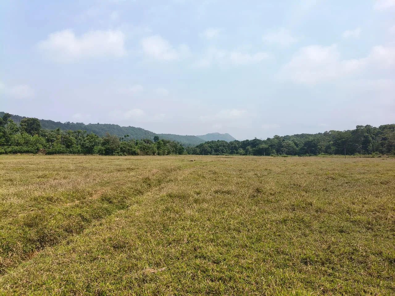 12 Acres Stream Touch Scenic Agriculture Land for Sale in Mudigere Near Sakleshpur