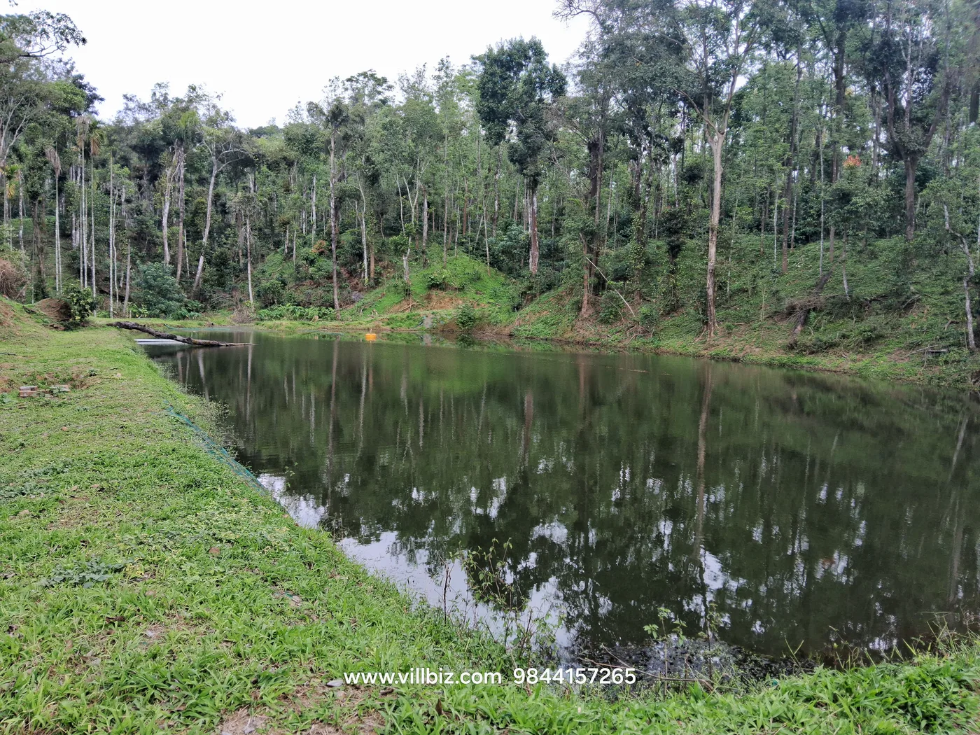 15 Acres Coffee Estate for Sale in Sakleshpur with Road Frontage, Water Source and Labour Quarters