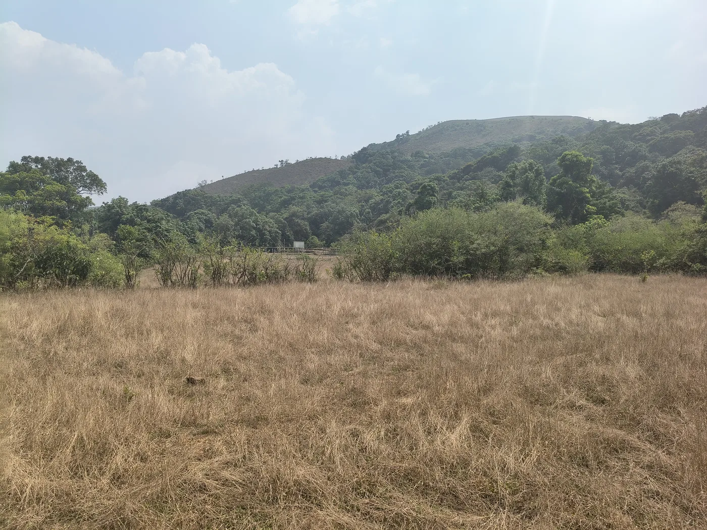 5 Acres Scenic Hill View Property for Sale in Sakleshpur near Bisile Ghat – State Highway Front Location