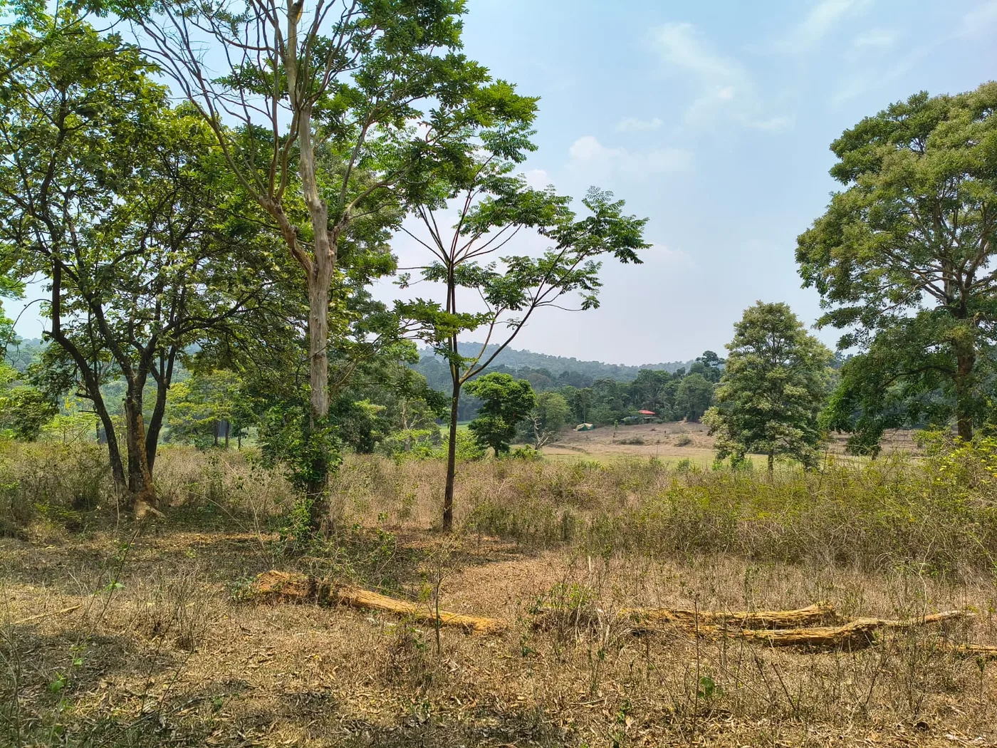 15 Acres Scenic Agriculture Land for Sale in Sakleshpur Near Bangalore–Mangalore Highway | Paddy Fields, Coffee Land & Farm Resort Opportunity