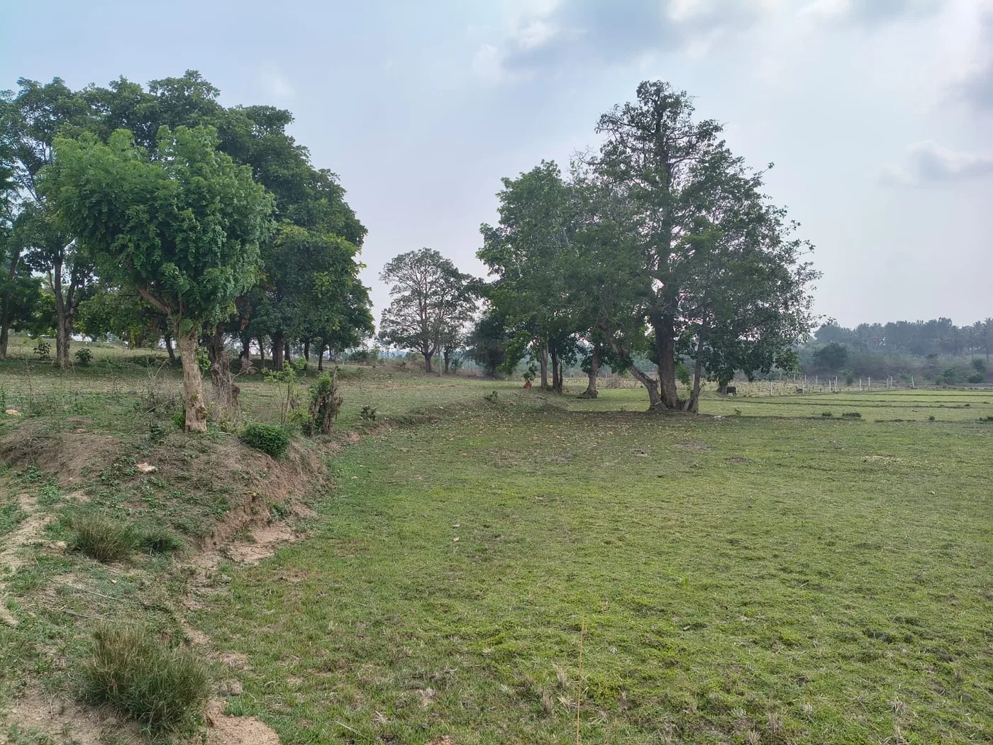 3 Acres Prime Highway-Side Agriculture Land for Sale in Alur, Hassan | Near Bangalore–Mangalore Express Highway