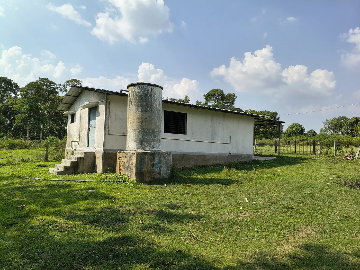 3.5 Acres Coffee & Arecanut Plantation for Sale Near Belur, Hassan | Scenic Farm Land with Borewells
