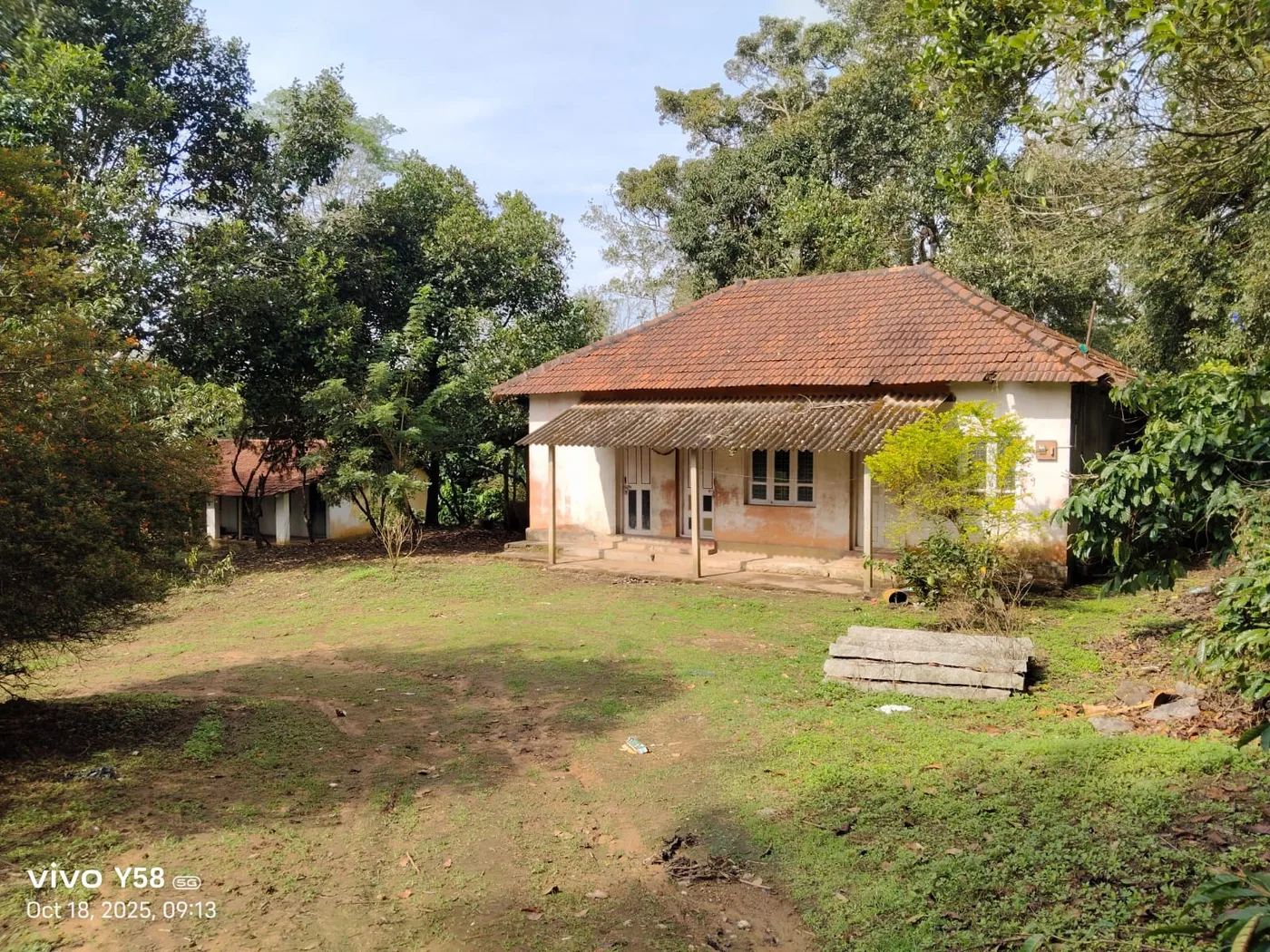 6.5 Acres Old Coffee Estate for Sale in Sakleshpur – Prime Location Near NH 75, Belur & Hassan