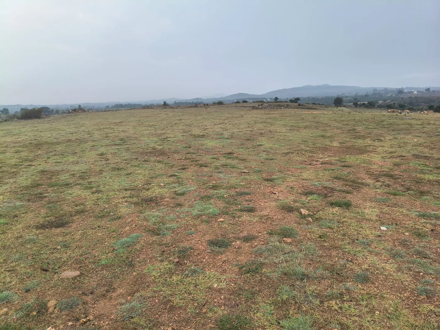 8 Acres Agriculture Land for Sale in Belur Near Hassan – 3 KM from NH 373