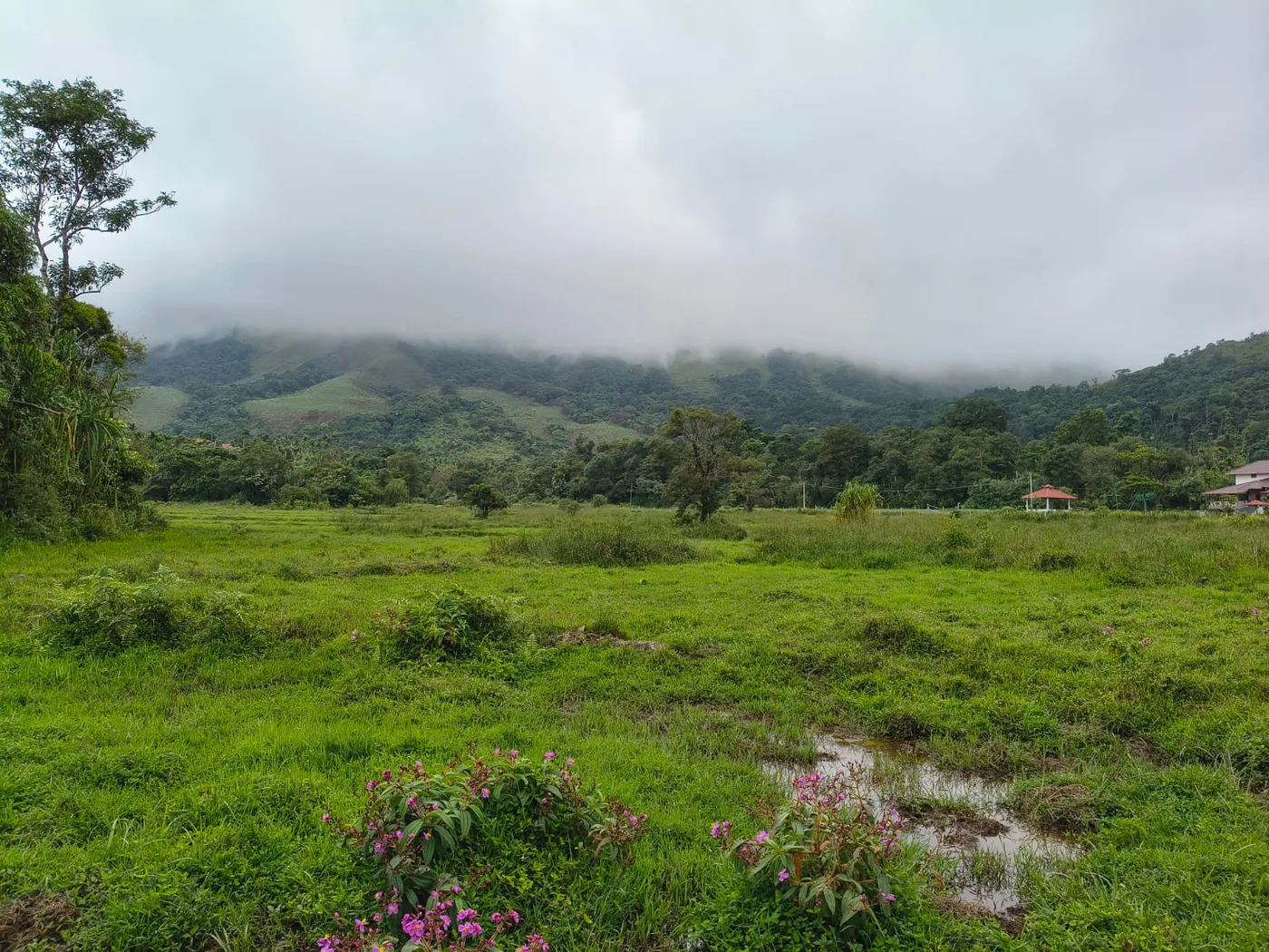 3 Acres Scenic Stream-Boundary Agricultural Land for Sale Near Devarumane, Mudigere