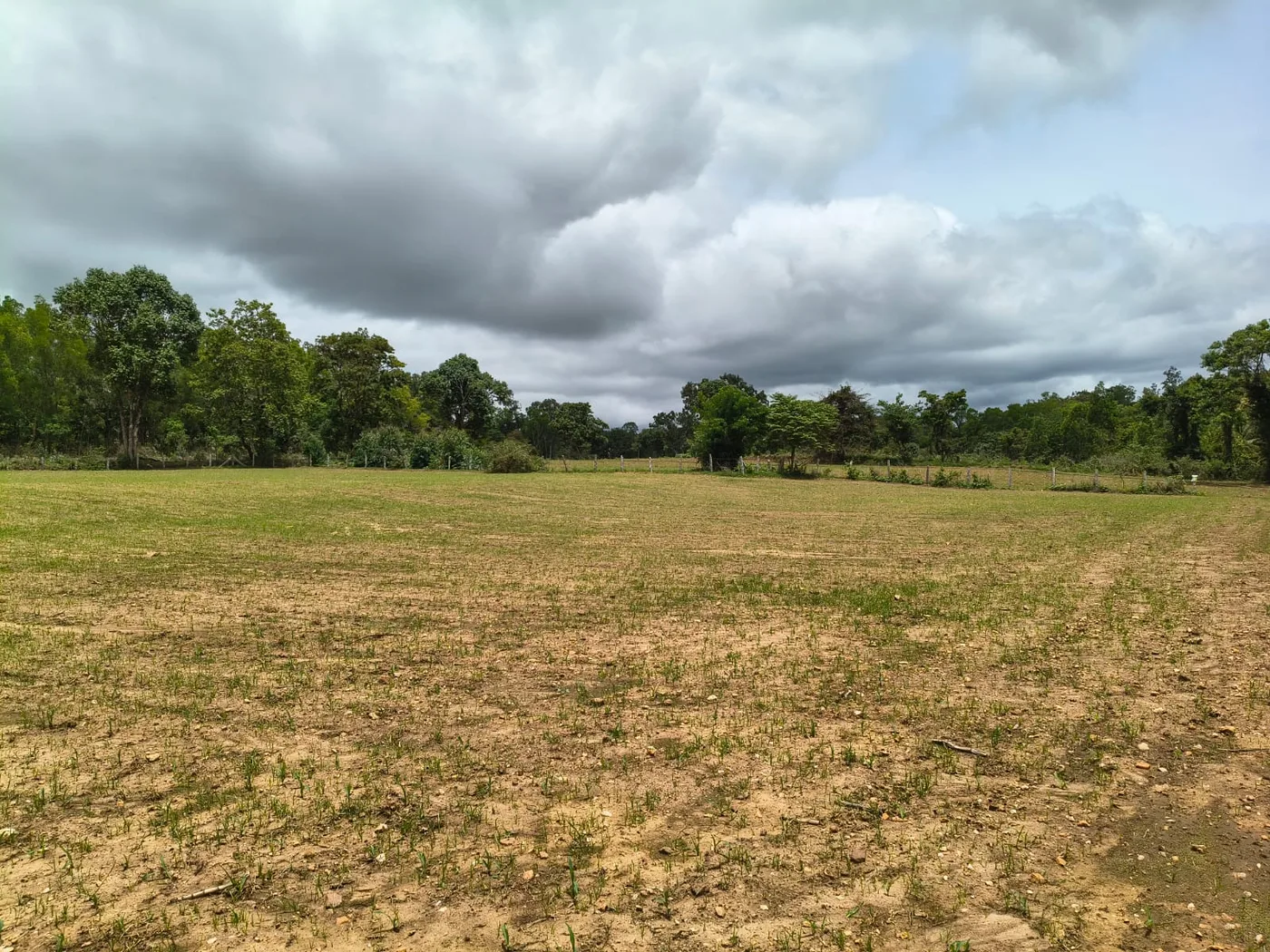 2 Acres Agriculture Land for Sale in Alur, Hassan – Fenced Farmland Near NH 75 with Channel Touch