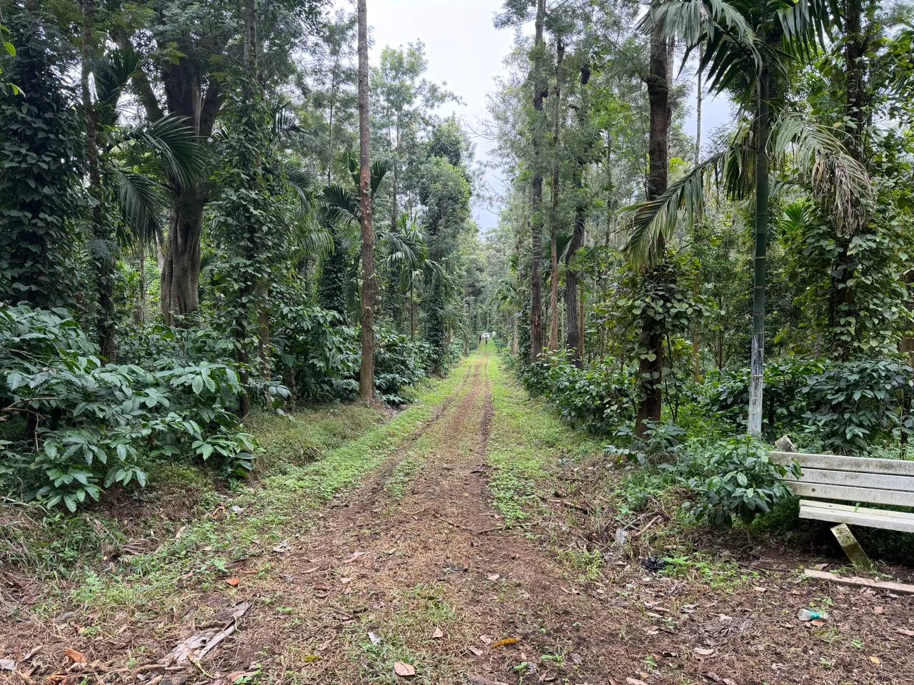 WEBSITE LISTING TITLE  8 Acres Multiple Crop Coffee Estate for Sale in North Coorg, Somwarpet Taluk