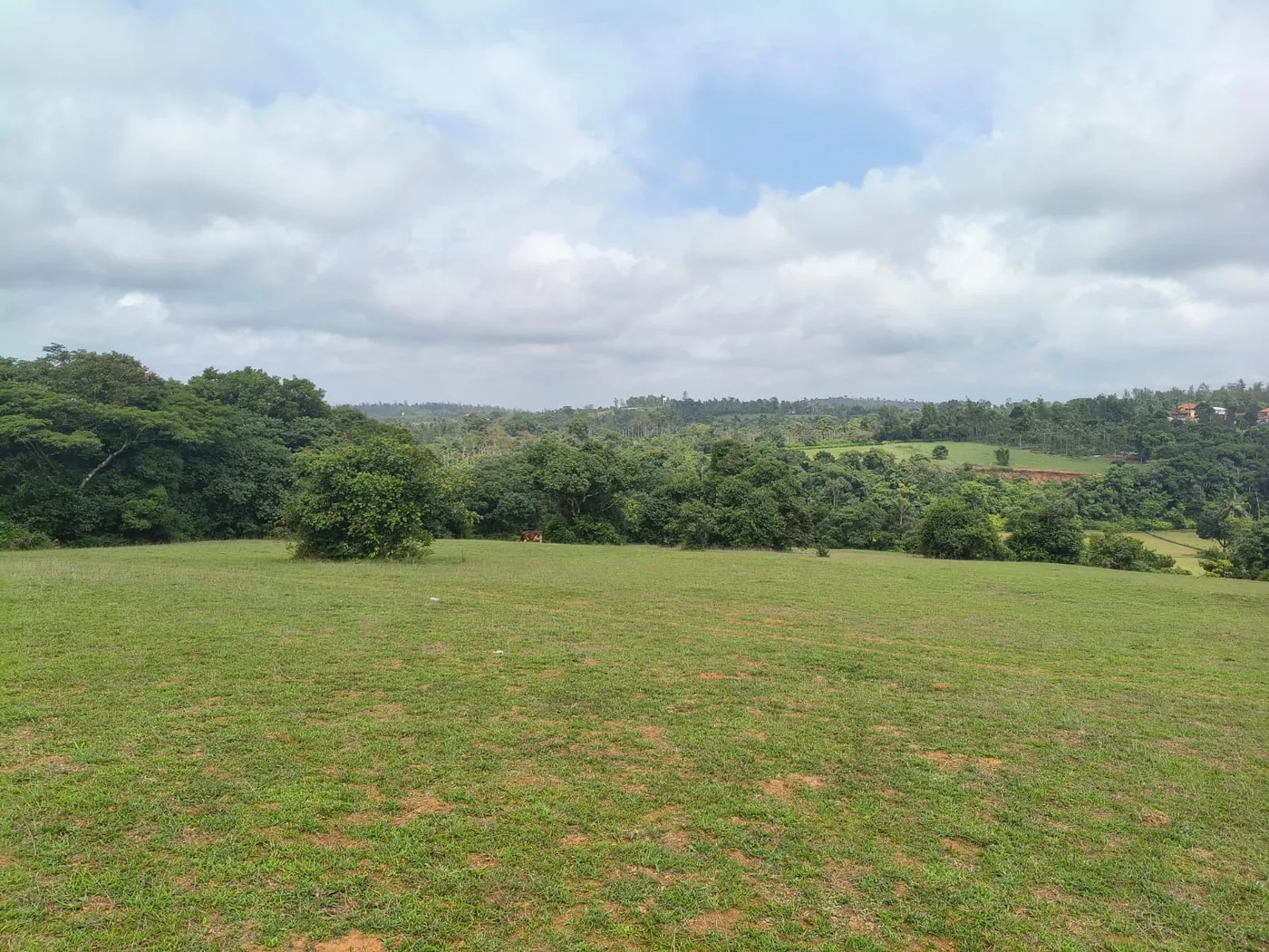 1 Acre Scenic View Land for Sale in Sakleshpur – Ideal for Farmhouse, Vacation Home & Small Homestay