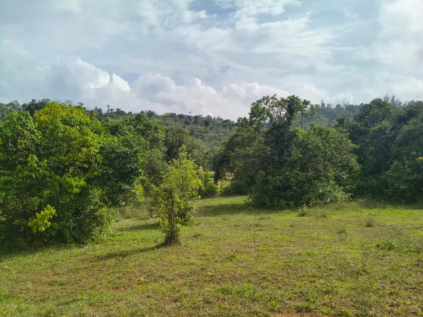 1 Acre Stream Touch Scenic Land for Sale in Sakleshpur – 18 km from Town, Near State Highway