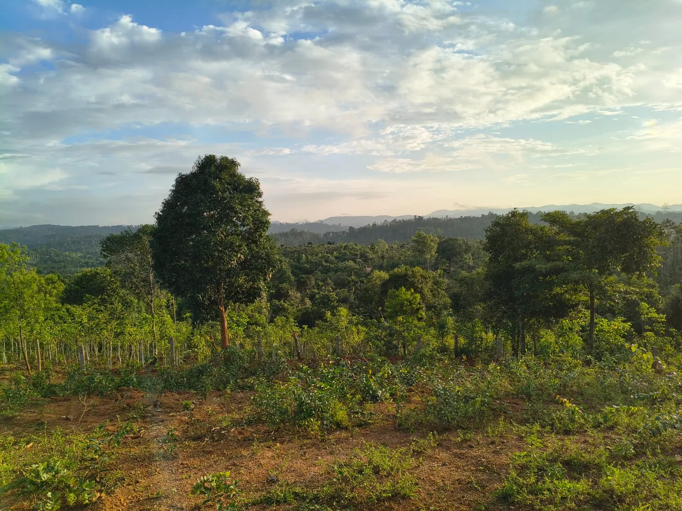 2 Acres Spectacular Scenic View Property for Sale in Mudigere Near National Highway