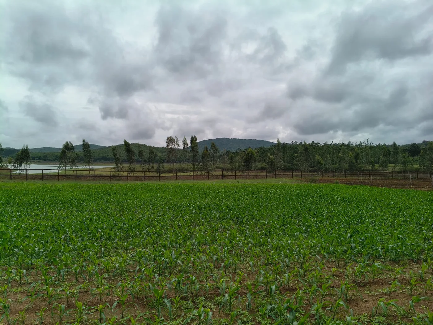 2 Acres Backwater Touch Scenic Hill View Land for Sale near Hassan