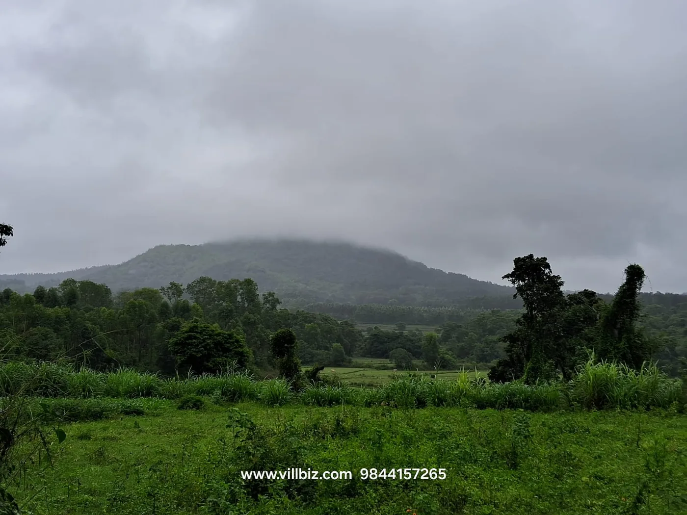 17 Acres Scenic Agriculture Land for Sale in Hassan with Stream Boundary, Paddy Fields & Misty Hill View