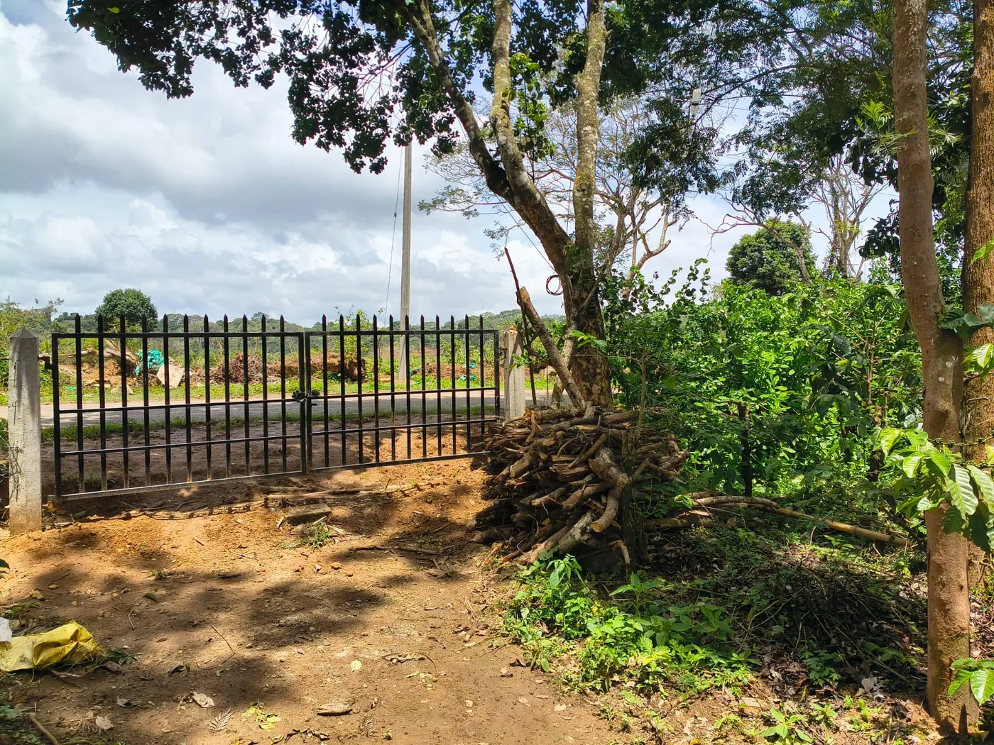 2.5 Acres Coffee Plantation for Sale in Sakleshpur near Belagodu & Ballupet