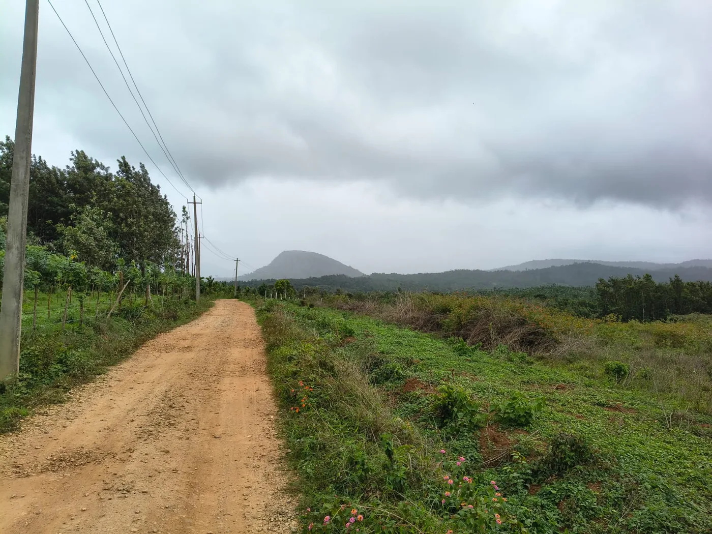 4 Acres Ultimate Scenic View Land for Sale Between Sakleshpur and Hassan Near NH 75