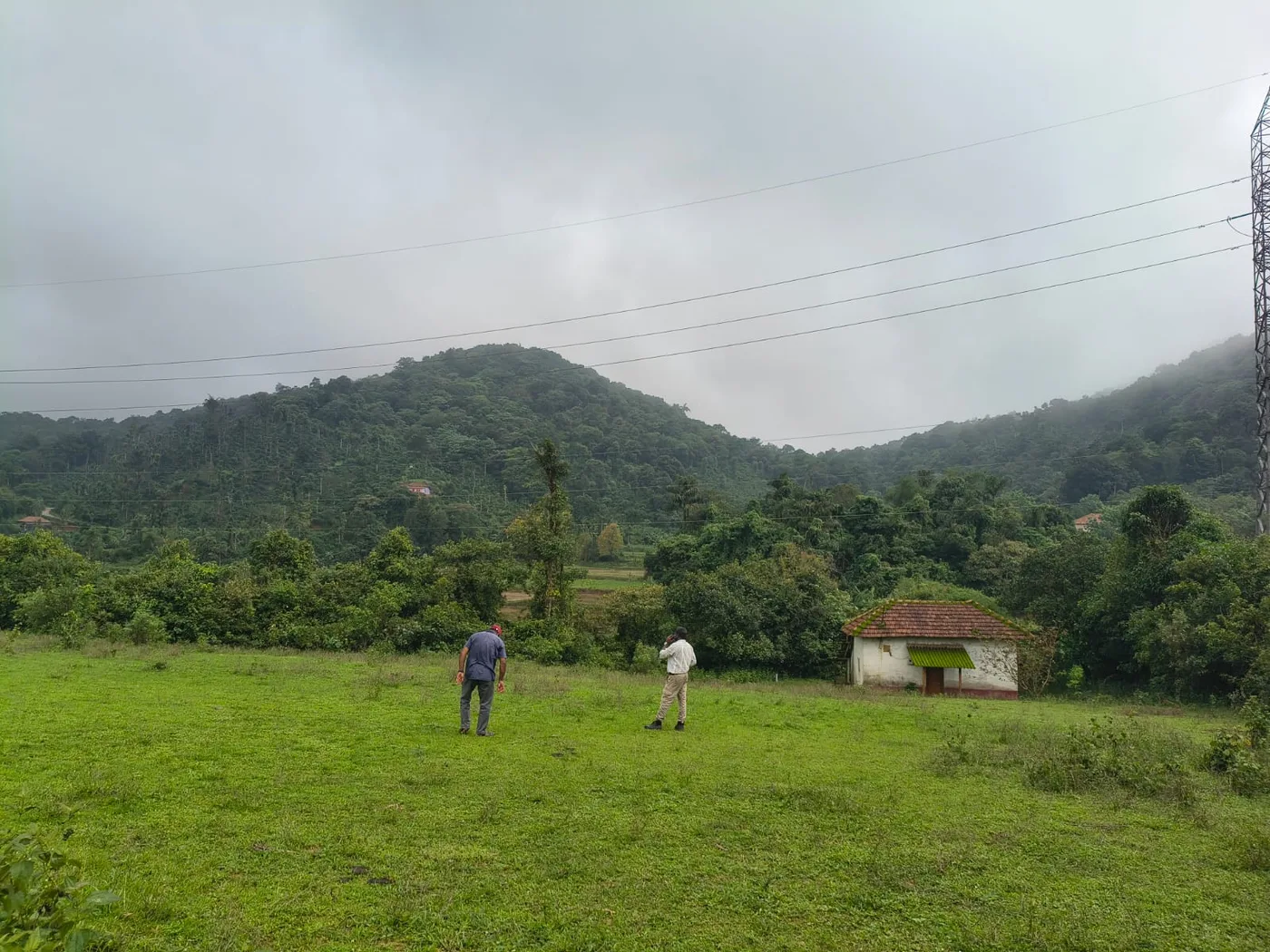 4 Acres Scenic Vacant Land for Sale Near Sakleshpur – Ideal for Resort, Homestay or Farmhouse