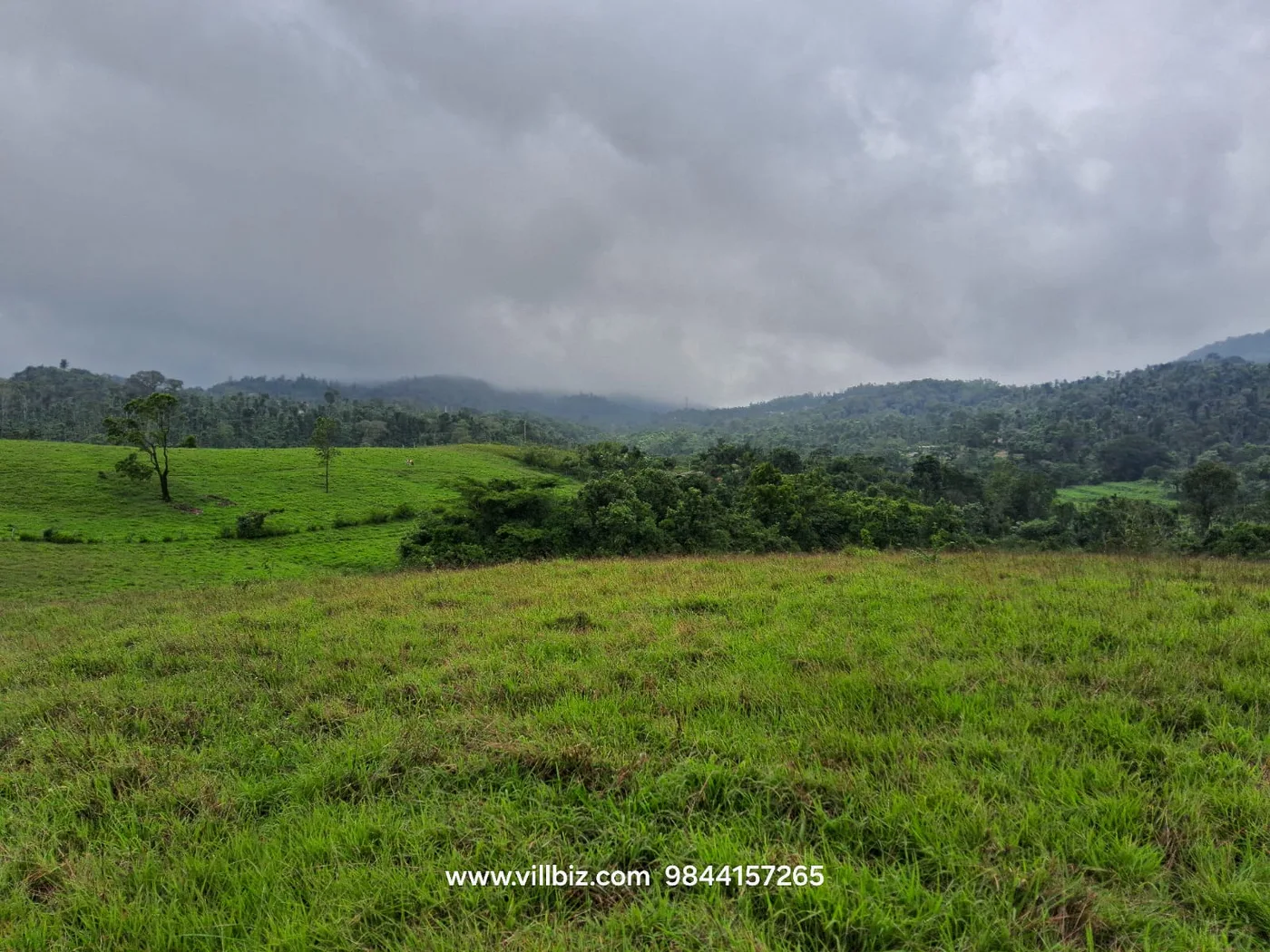 15 Acres Scenic Hilltop Land with Stream and Pond for Sale in Sakleshpur