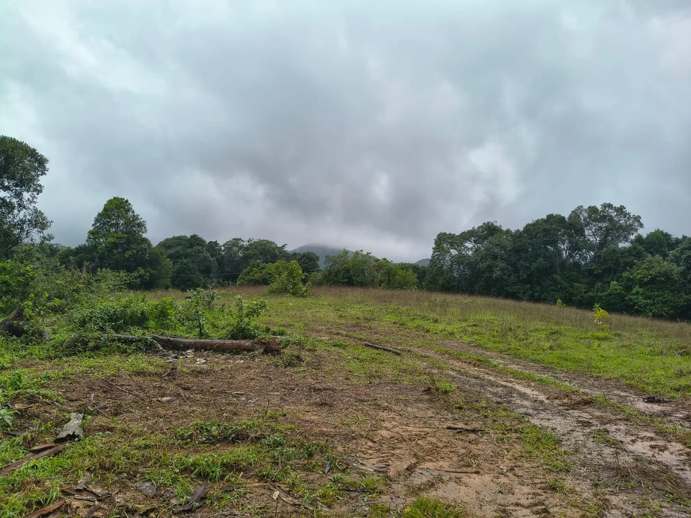 4 Acres Scenic Hill View Land For Sale In Sakleshpur  Near Bisle Ghat