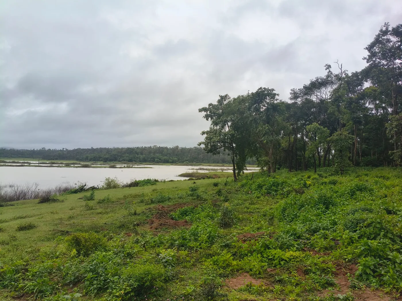 3 Acres Backwaters Touching Scenic Property For Sale On Sakleshpurcoorg Border
