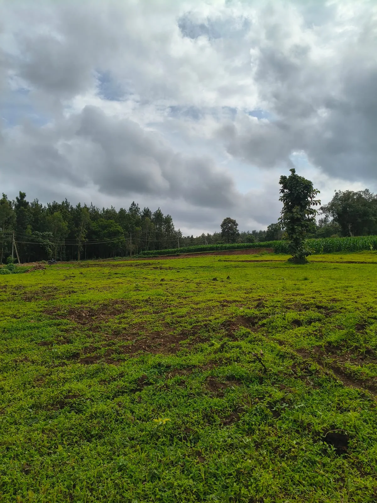 2 Acres Lake Touching Agricultural Land For Sale In Alur, Hassan  Scenic View & Excellent Road Access