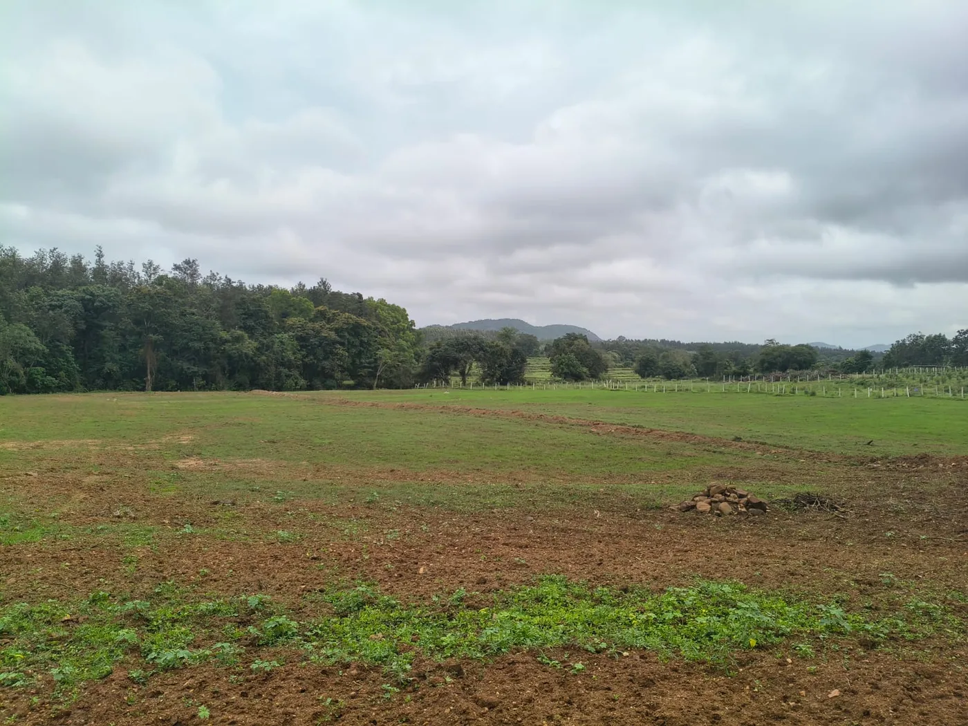 4 Acres Scenic Stream-Touch Agricultural Land for Sale Near Magge – Hassan–Sakleshpur Border | Ideal for Coffee Plantation, Farmhouse & Homestay